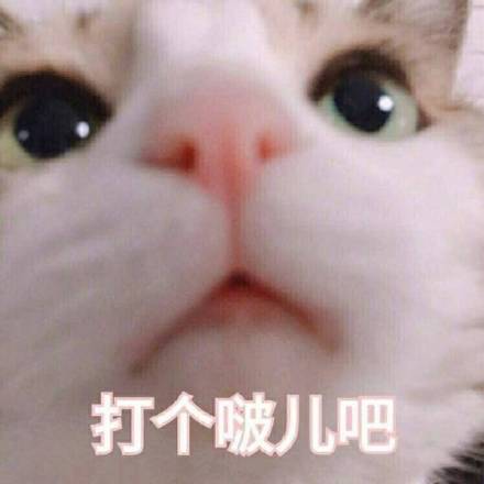 11月7日热门斗图表情包合集来啦