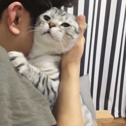 超萌宠物情侣头像！高清一对两张共26张合集