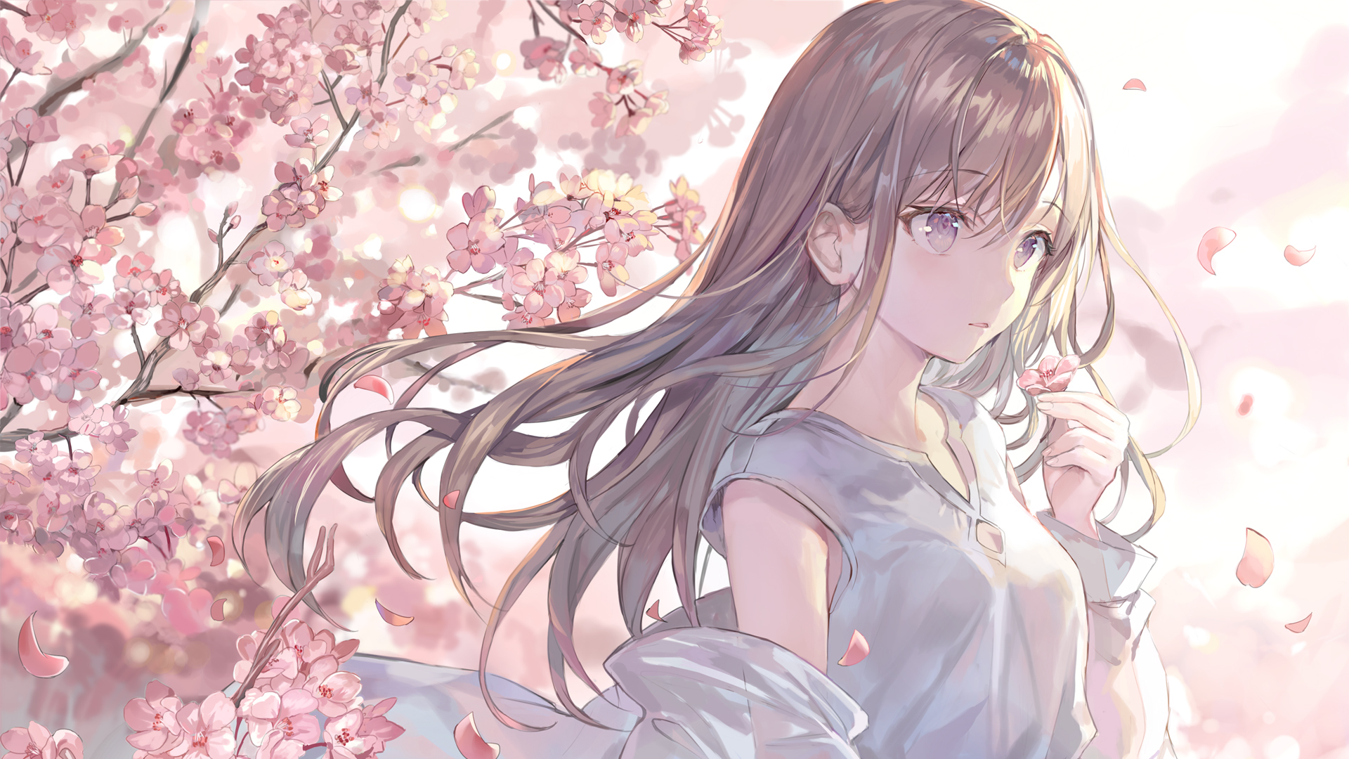 樱花主题茶色长发女生高清动漫壁纸推荐