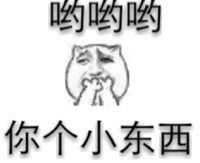 聊天斗图不用愁！这个网站的表情包全到能挑花眼