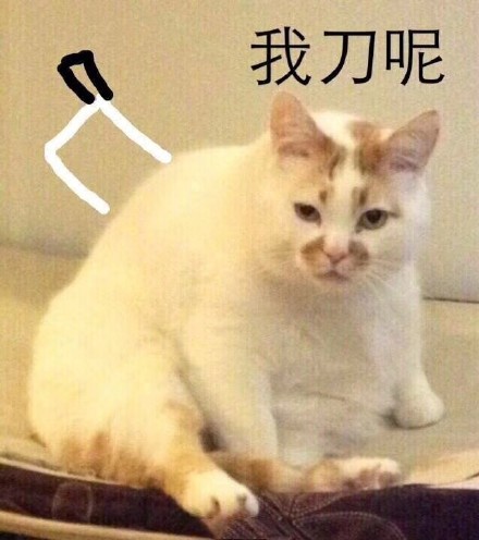 当下热门表情包原图合集整理