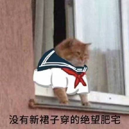当下聊天都在用的热门表情包合集