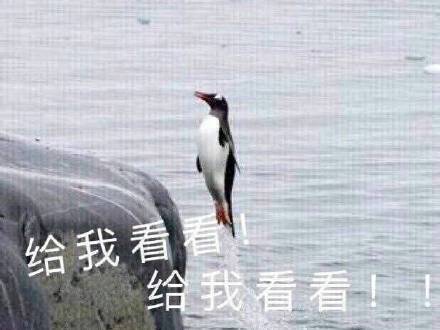 聊天斗图不用愁！这套表情包直接封神