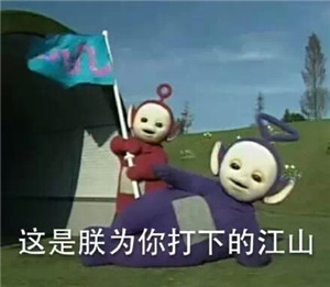 天线宝宝装逼鸟表情包合集