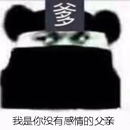 5月17日热门表情包原图合集来了