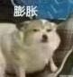 聊天斗图必备！小表情系列合集整理好了