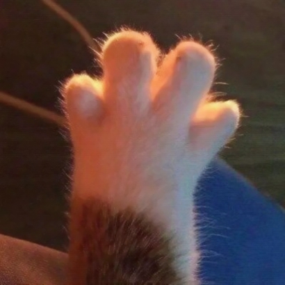 可爱动物情侣头像来啦！12张高清一左一右配对图