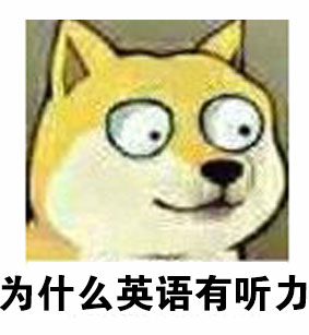 大眼doge表情包合集来啦