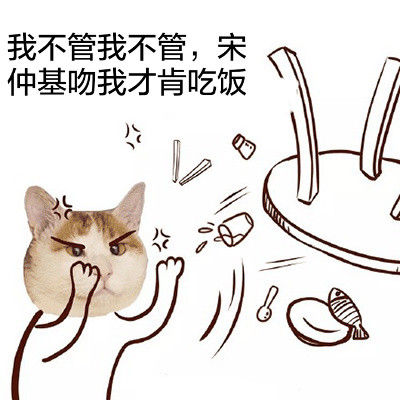 猫头宋仲基可爱表情包合集