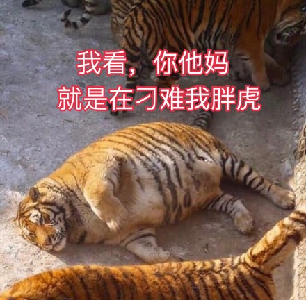 当下超火的聊天表情包合集