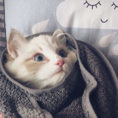 QQ可爱情头一对两张！14张高清可爱情侣头像合集