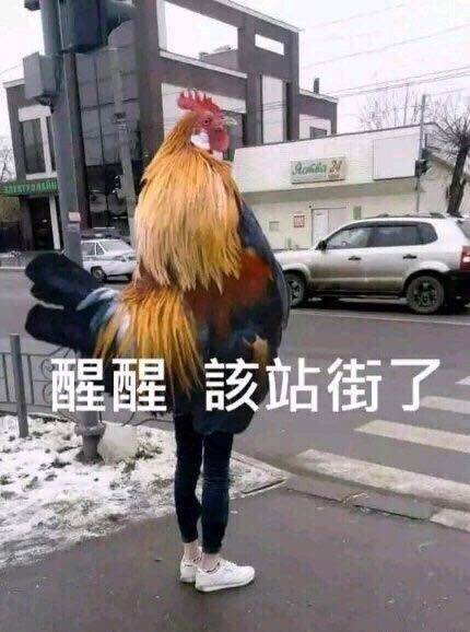 最近超火的斗图表情包整理好了