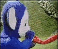 天线宝宝装逼鸟表情包合集