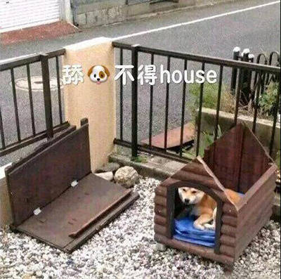 聊天斗图必备！这套舔狗表情包直接封神