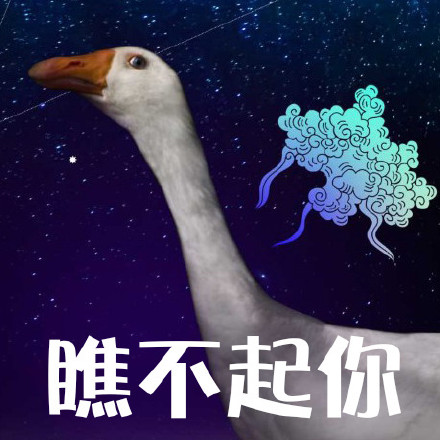 鹅鹅鹅表情包合集来啦！聊天斗图就用这个