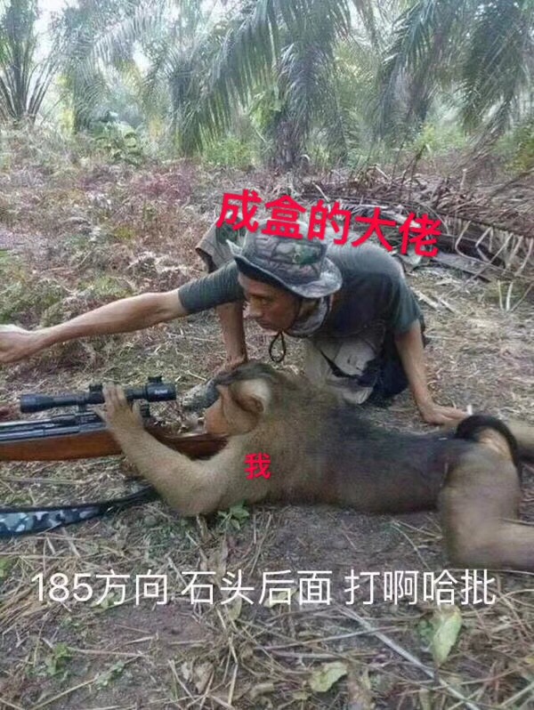 最近超火的斗图表情包合集都在这了