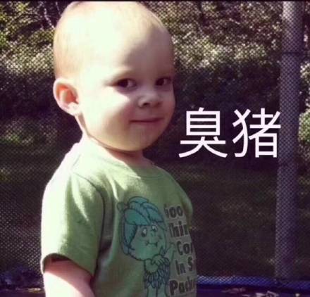 日常聊天必备表情包合集