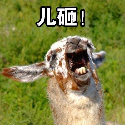 快艾特你的“儿砸”来用这套表情包