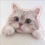 QQ可爱情头一对两张！14张高清可爱情侣头像合集