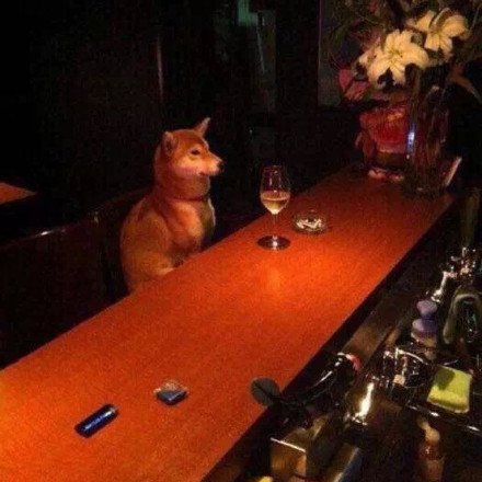 单身狗别emo！这套情人节斗图表情包收好