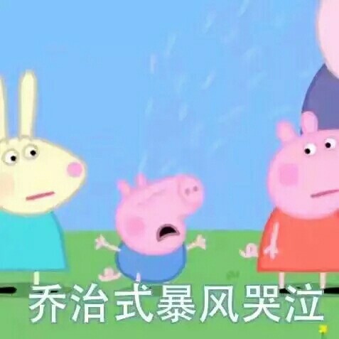 整理好的小猪佩奇斗图表情包合集