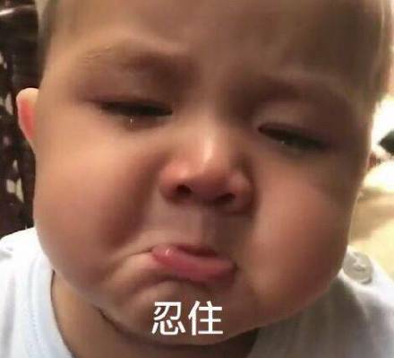 11月4日斗图表情包精选合集