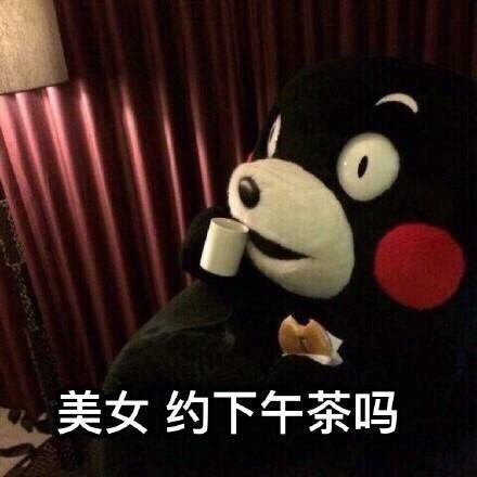 火遍全网的日本国宝熊本熊表情包合集