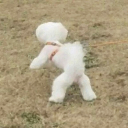 16组搞怪可爱情侣头像 一左一右高清配对图