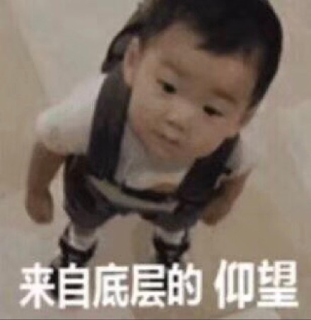 12月14日热门斗图表情包合集