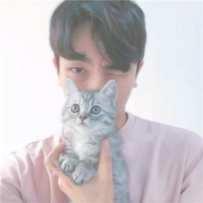 微信情侣头像上新！12张一对款直接抱走