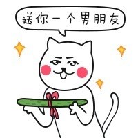 斗图必备！长腿贱猫撕逼表情包合集