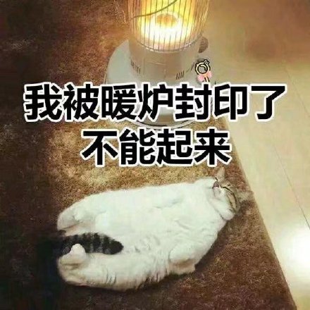 1月5日斗图表情包合集来啦