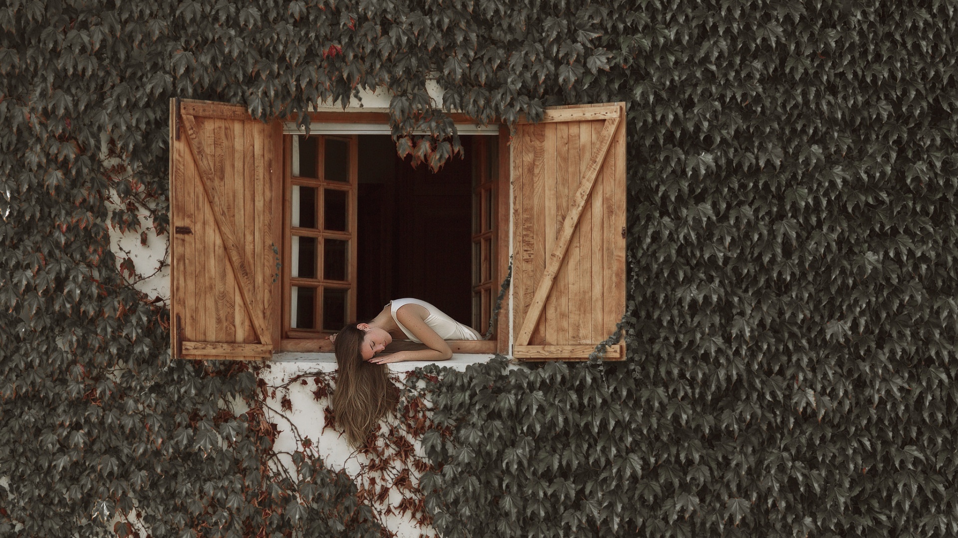 带百叶窗和树叶的少女氛围感电脑壁纸合集