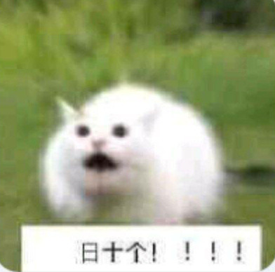 群主整活名场面合集！这些离谱操作笑到打鸣