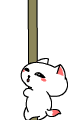 猫咪表情包合集来啦