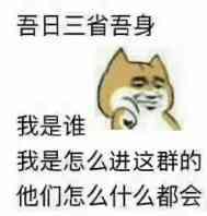 摸鱼斗图必备！这组高糊搞笑小表情太绝了