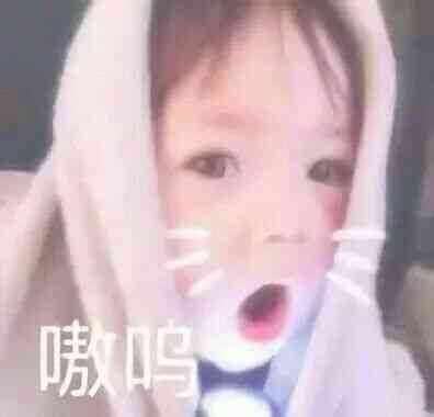 5月3日热门斗图表情包合集来啦