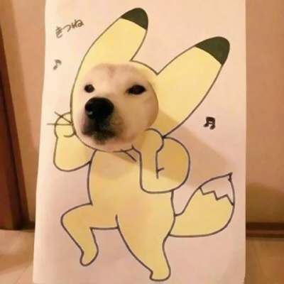 22组超萌搞怪萌宠情侣头像！一对两张高清可爱款