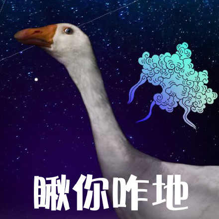 鹅鹅鹅表情包合集来啦！聊天斗图就用这个