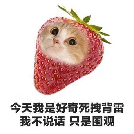 这些果蔬沙雕表情包，斗图绝对好用