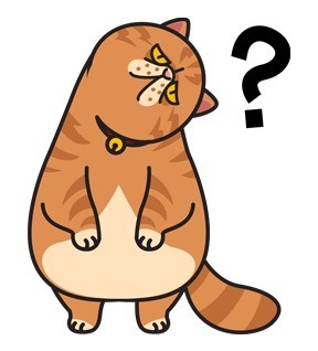 软萌胖胖猫咪表情包合集来啦