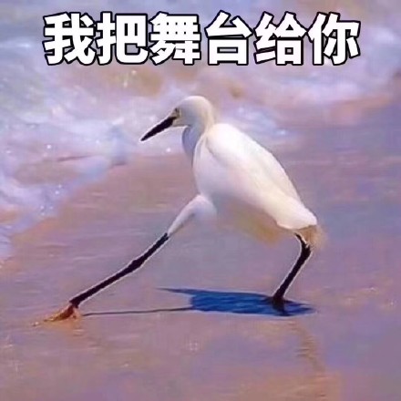 11月12日热门斗图表情包合集