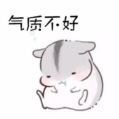 软萌仓鼠表情包合集 聊天斗图超好用