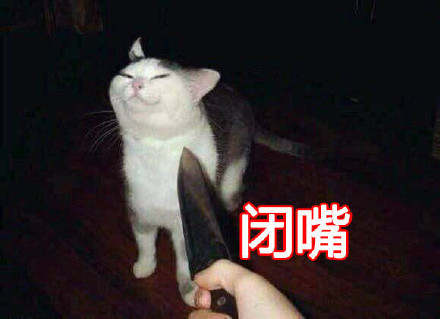 戳中撒娇党！这款“我要这个你买”猫猫表情包火了