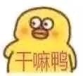 这组嚣张小鸭子表情包，斗图用简直绝了