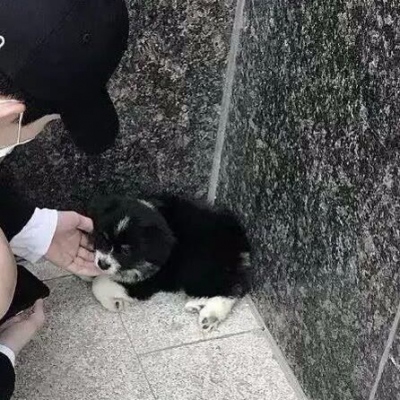 “女友不是人”系列情侣头像 高清16张合集