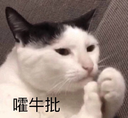 今日份斗图表情包合集来了