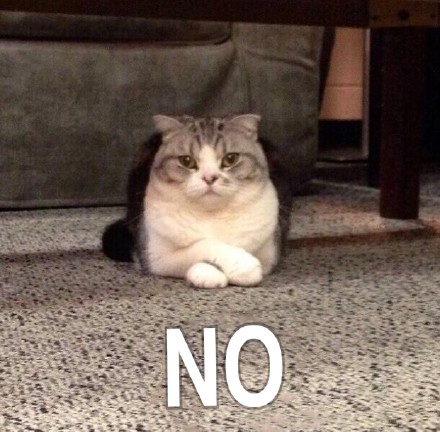 10月31日热门表情包合集来了