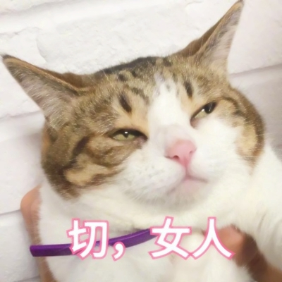 一左一右的萌宠情侣头像！12张高清可爱一对两张图来了