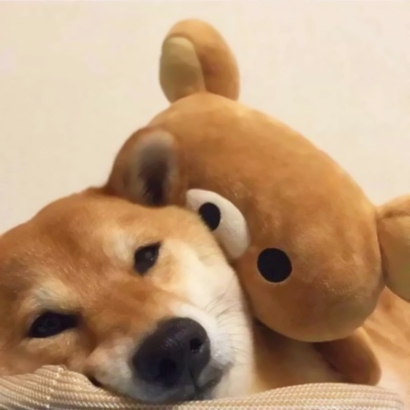 超可爱一左一右情头！36张高清好看的情侣头像合集